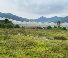 Chính chủ bán lô đất 7000m2 ở Lâm Đồng, gần khu du lịch LangBiang