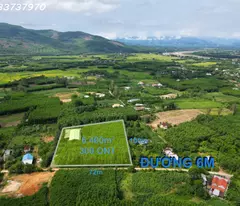 Bán rẻ vườn 6400m2 đất Nghĩa Thắng Tư Nghĩa Quảng Ngãi