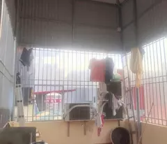 NGÕ BA GÁC TO RỘNG THOÁNG Bùi Xương Trạch 6.25 tỷ, diện tích 35m2, mặt tiền 3.5, 5 tầng Thanh Xuân