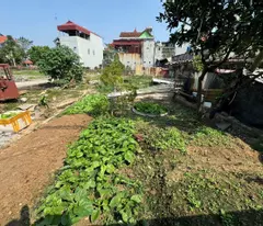 Bán đất tổ 11, TT Quang Minh, Mê Linh, HN. Đường thông, oto tránh. DT 54m, giá 2,54 tỷ.
