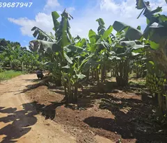 Bán 9000m2 đất nông nghiệp Ea Kao, Buôn Ma Thuột - 4 tỷ
