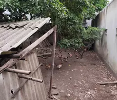 bán đất Ngô Gia Tự, mở ngõ to ra mặt phố không vào đát nhà mình, diện rích 70m2, mặt tiền 4.5m,