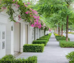 Shophouse đẹp nhất dự án, hai mặt tiền trực diện chung cư, căn ngoại giao vip