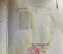 Đất cao su Bình Thuận cần bán đang cho thu hoạch 20-25 triệu