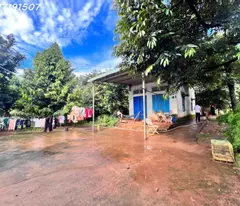 Cần bán 3ha cao su Đồng Tiến cách quốc lộ 14 150 m cao su nhiều mủ tất bằng đẹp nhà cửa điện nước