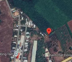 Cần bán 3ha cao su Đồng Tiến cách quốc lộ 14 150 m cao su nhiều mủ tất bằng đẹp nhà cửa điện nước