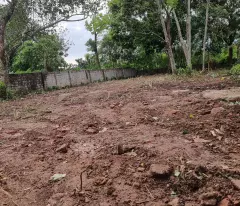 Cần bán đất khu vực xã Hoàng Diệu Chương Mỹ diện tích đất 336m2 có thương lượng nhẹ