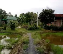 BÁN ĐẤT - TÂN TRỤ, LONG AN 962M2 CHỈ NHỈNH 1 TỶ.