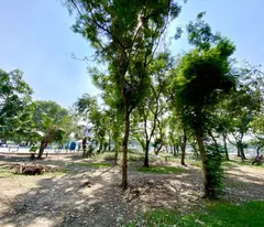 Bán 51M mặt phố hồ đền lừ tặng nhà kinh doanh ngày đêm view hồ hoàng mai