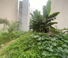 Bán mảnh đất siêu đẹp Đức Thượng, Hoài Đức, 168m2 vuông vắn, ô tô đỗ cửa, xây tòa căn hộ