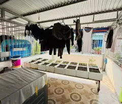 BÁN NHÀ CỔ NHUẾ 35M – NHÀ MỚI 5 TẦNG – CÔNG NĂNG ĐẦY ĐỦ – XUNG QUANH NGẬP TRÀN TIỆN ÍCH