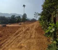 Hiếm siêu đẹp, lô góc sát Xanh Villas bám mặt đường Bãi Dài giá rẻ nhỉnh 29tr dt 342.2m