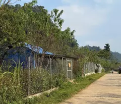 Bán cắt lỗ mảnh đất Tân Lập, Mộc Châu.