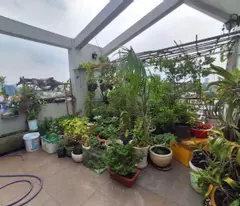 Mặt tiền đường xe hơi thông, 41 Chuyên Dùng Chính, Phú Mỹ Q7, 5 tầng 135.5m2 10 phòng kinh doanh