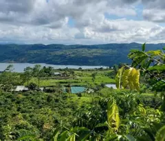 CHÍNH CHỦ BÁN 1.8HA ĐẤT LÂM HÀ - VIEW SÔNG ĐỒNG NAI