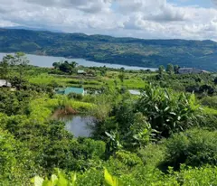 CHÍNH CHỦ BÁN 1.8HA ĐẤT LÂM HÀ - VIEW SÔNG ĐỒNG NAI