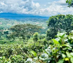 THANH TOÁN CHỈ 300 TRIỆU SỞ HỮU NGAY 1 SÀO ĐẤT - VIEW ĂN MÌ GÓI SIÊU ĐỈNH