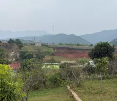 Đất nền Mộc Châu giá rẻ 710m2 kinh doanh homestay cực đẹp