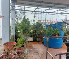 Bán nhà 3 tầng, 86m2, ngõ đẹp,Thị trấn Đông Hưng,Thái Bình giá 3.2 tỷ