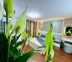 Bán Nhà Hoàng Hoa Thám trung Tâm Quận Ba Đình, gần ô tô, 45m2, 4 PN Master, Nhỉnh 7 tỷ