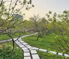 Bán cắt lỗ Homestay tại Mộc Châu