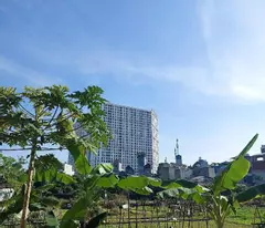 NHÀ ĐẸP BÊN MỸ - HÀNG HIẾM - NGÕ THÔNG - SỔ NỞ HẬU - GIÁ ĐẸP - 55m2 - Nhỉnh 8 tỷ
