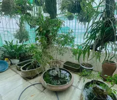Siêu Hiếm Bán nhà Ngọc Thụy – Long Biên- Lô Góc ngõ rộng thoáng, bán kính 100m quanh nhà là trường