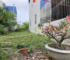 Chỉ hơn tỷ có có ngay 1 lô 92m² ngõ 153 phong lộc phường cửa nam