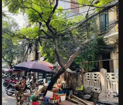 Bán nhà đất tại Phố Yên Bái 2, phố Huế giá tốt nhất chỉ 87 tỷ dt 220,5m2