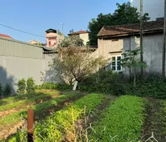 Bán đất thôn Yên Nhân, Tiền Phong, Mê Linh, HN. Cách chợ Yên 250m. DT 180m, giá 4,54 tỷ.