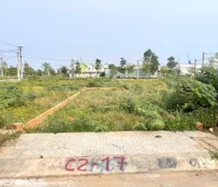 Chính chủ cần bán nhanh lô đất Đường số 1, Ấp 3, Xã Long Cang, Huyện Cần Đước, Tỉnh Long An