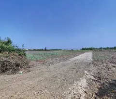Đất Phước Khánh 1311m², Đất Lúa, Đường Ôtô Tới Đất, Giá Chỉ 3,9 Tỷ