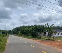 Bán gấp lô đất ở đối diện Khu công nghiệp Long Tân.