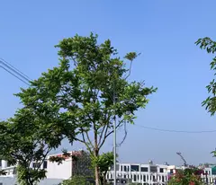 BÁN ĐẤT KĐT KỲ ĐỒNG VỊ TRÍ CỰC ĐẸP GIÁ CỰC RẺ, DT 225M2, MT 10M, Giá 6.7 TỶ