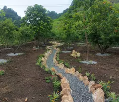 Chính chủ bán nhanh 800m2 đất tại Mộc Châu thích hợp làm du lịch