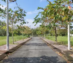 Chính chủ bán sỉ 30 nền đất trong khu dân cư Mỏ Cày Nam, sát bên thị trấn Mỏ Cày.