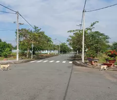 Chính chủ bán sỉ 30 nền đất trong khu dân cư Mỏ Cày Nam, sát bên thị trấn Mỏ Cày.