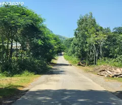 Bán đất xã Cao Ngọc, huyện Ngọc Lặc, tỉnh Thanh Hóa