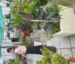 GIẢM GIÁ SÂU SIÊU PHẨM NHÀ MT QL1A, Q12 - 193M2 - 2 TẦNG-NHỈNH 12 TỶ TL -KD ĐỈNH CAO