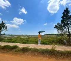 ĐẤT SĂN MÂY TRIỆU ĐÔ GẦN BẢO LỘC CHỈ 1.9 TRIỆU/M2. HÀNG SIÊU HIẾM