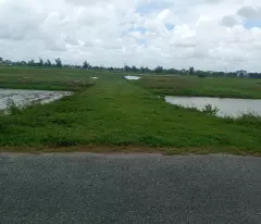MẶT ĐƯỜNG KIẾN XƯƠNG THÁI BÌNH DIỆN TÍCH 7000M, MẶT TIỀN 50M  ĐẤT TMDV, GIÁ 5,5 TỶ