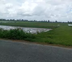 MẶT ĐƯỜNG KIẾN XƯƠNG THÁI BÌNH DIỆN TÍCH 7000M, MẶT TIỀN 50M  ĐẤT TMDV, GIÁ 5,5 TỶ