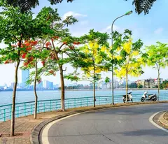 Bán nhà Q19 Võng Thị phố Tây VIP Ở Đẳng Cấp Thượng Lưu sát Tây Hồ 39m2 5 Tầng 8.2 tỷ