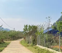 Cần tiền bán gấp lô đất 1600m2 tại Mộc Châu nhỉnh hơn 1 tỷ