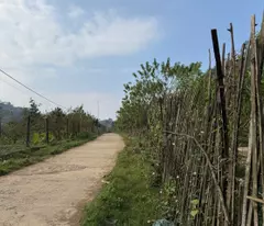 Cần tiền bán gấp lô đất 1600m2 tại Mộc Châu nhỉnh hơn 1 tỷ