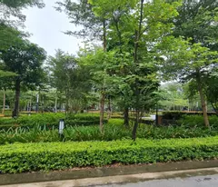 Bán biệt thự Ciputra Hà Nội diện tích 300m2 đường đôi 40m giá rẻ chỉ 105 tỷ LH 0985 680 788