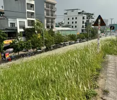 BÁN NHÀ SIÊU HOT - KHU VỰC NGỌC THỤY, LONG BIÊN - Diện tích: 41m²-  5 tầng 
  - Giá 6tỷ