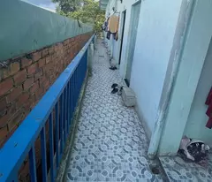 +1 BÁN GẤP - NHÀ C4 - HXT - 186M2- 8 PHÒNG CHO THUÊ - VUÔNG A4