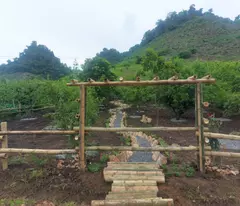 Chính chủ bán nhanh 800m2 đất du lịch tại Mộc Châu