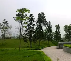Bán nhà X57 Xuân Đỉnh Ngõ Siêu Nông Ở An Lành Sung Sướng 39m2 5 tầng 7,4 tỷ